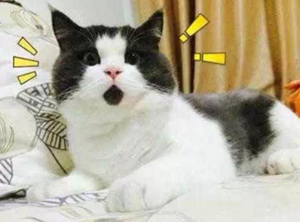 DƬ